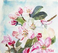 kersenbloesem aquarel MarYane Nas