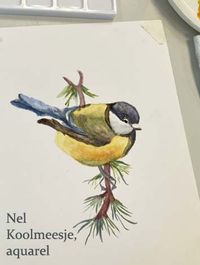 nel aquarel_1